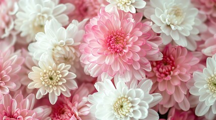 There are many flowers in the image. They are mostly pink and white. The flowers are arranged in a circular pattern.


