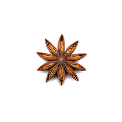 Whole star anise rich brown color intricate shape subtle sheen Food and culinary concept