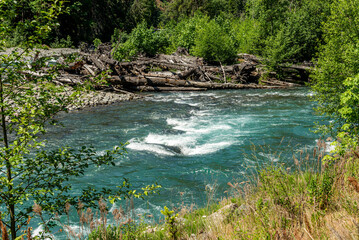 River in Forest. This picture taken at the Olympic national park in Washing State.