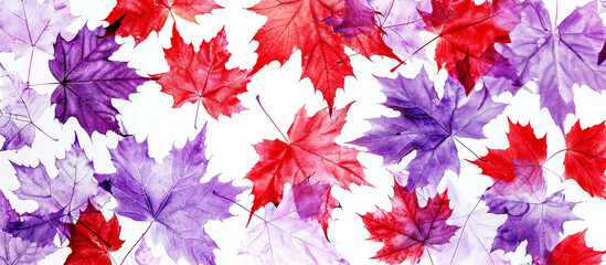 Design background with red and viol maple leaves. Watercolor banner. Concept of Autumn.