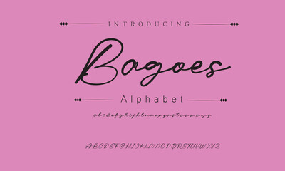 Bagoes Signature Font Calligraphy Logotype Script Brush Font Type Font lettering handwritten