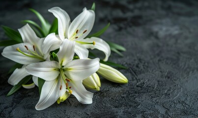 branch of white lilies flowers, mourning or funeral background, condolence card with copy space for text, Generative AI