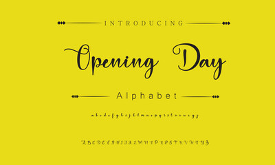Opening Day Signature Font Calligraphy Logotype Script Brush Font Type Font lettering handwritten