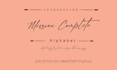 Mission Complete Signature Font Calligraphy Logotype Script Brush Font Type Font lettering handwritten