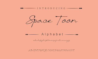 Space Toon Signature Font Calligraphy Logotype Script Brush Font Type Font lettering handwritten
