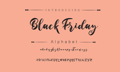 Black Friday Signature Font Calligraphy Logotype Script Brush Font Type Font lettering handwritten