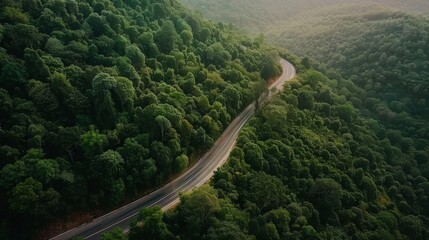 Aerial view of a mountain road winding its way through dense forests, a ribbon of asphalt cutting through the green landscape.