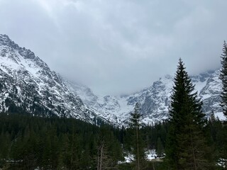 wonderful panorama of the Polish Tatras, sunny day, blue sky, spring day, green meadow, snow on the mountains