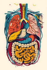 Fotobehang Detailed anatomical of the human body s internal organs and systems designed as an educational tool for medical professionals and students © CYBERUSS