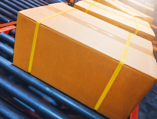 Package Boxes Moving on Conveyor Belt. Cartons, Parcels Boxes. Storehouse. Distribution Warehouse Shipping. Supplies Cargo Shipment. Warehouse Logistics.