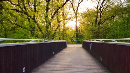 drewniany mostek w parku ze słońcem w tle