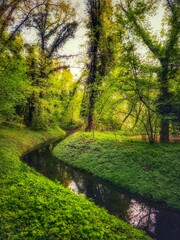Obraz premium potok w parku jako piękny pejzaż z wodą i drzewami