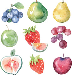 A collection of playful watercolor fruits, hand-painted and ready to brighten your designs.