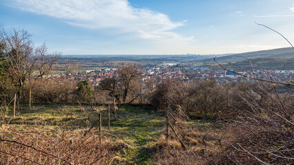 View of the valley with the city, meadows, fields and forests.