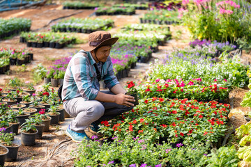 Young Asian gardener is choosing flowering plant from the local garden center nursery full of summer plant for weekend gardening and outdoor hobby