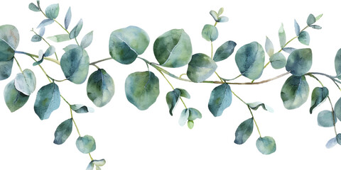 Watercolor eucalyptus leaves garland isolated on white background