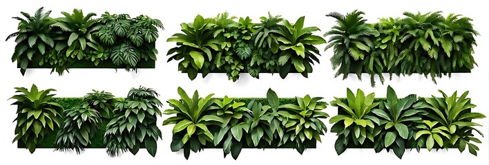  Set of green garden walls from tropical plants, isolated on white background, cut out 