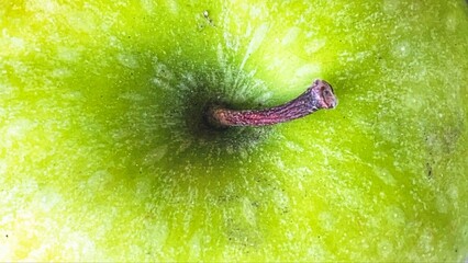Close-up photo of green apple fruit