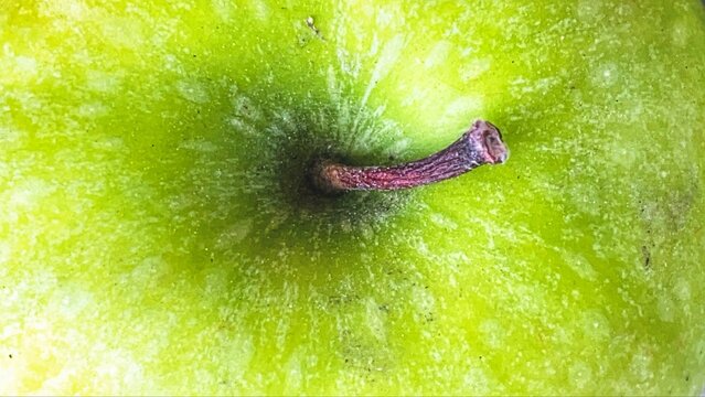 Close-up photo of green apple fruit