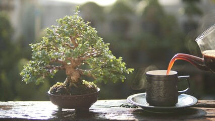 Pouring hot coffee to coffee cup, steaming, smoke, vapor on old wooden table with bonsai tree...