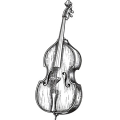 Hand drawn violin. Vector illustration. Isolated on white background.