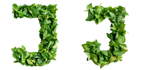 Word shape from leave A-Z