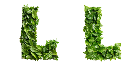 Word shape from leave A-Z