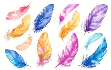 Colorful feathers vector set isolated on white background