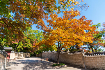 Huwon the Secret Garden inner part of Changdeokgung Palace with Autumn season background, Seoul city,  South Korea