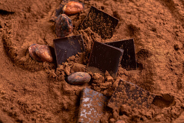 Cocoa powder, beans and dark chocolate.