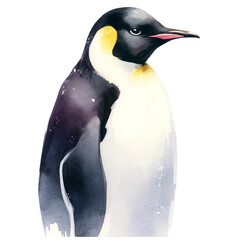 Naklejka premium Arctic Elegance: Watercolor Penguin Portrait : emperor penguin on the snow