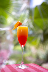 Non-alcoholic cocktail on the background of palm trees. A refreshing drink of red and yellow color. Tropical background. The concept of summer holidays. Copy space.