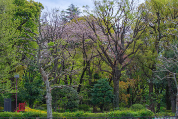港区赤坂7丁目の高橋是清翁記念公園