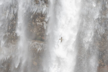 Seljalandfoss, Iceland