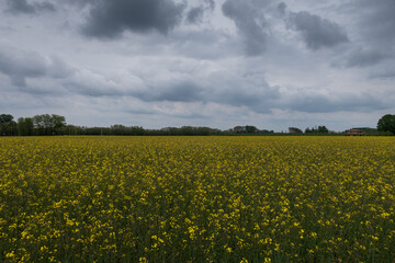 Po Valley landscape panorama view fields crops