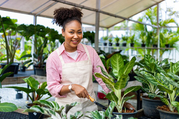 African woman gardener is tending her exotic plant plant inside the greenhouse for rainforest...