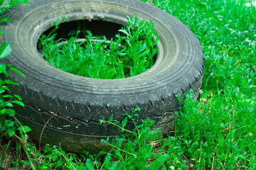 An old tire thrown into the grass