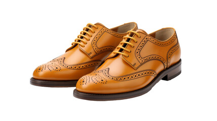 Brown DirectorDash Brogues on Transparent Background