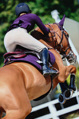 Rider jump to clear the obstacle. Show Jumping. Chestnut horse on course. Shooting from the back