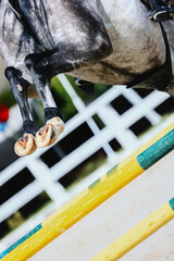 Gray horse hooves close-up when jumping over a barrier. Equestrian sport. Bottom view. Shooting...