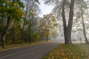 Autumn foggy landscape: a small square near Lake Naroch, Belarus