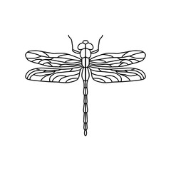 Black Dragonfly Sign Symbol Icon Logo Vector. Dragonfly outline Isolated dragonfly on white background