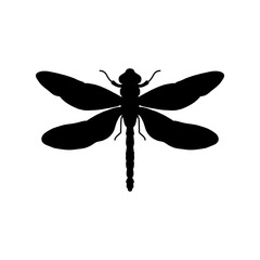 dragonfly black and white silhouette vector illustration. black and white Realistic hand drawing of dragonfly insect on white background