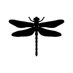 dragonfly black and white silhouette vector illustration. black and white Realistic hand drawing of dragonfly insect on white background