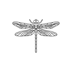 Black Dragonfly Sign Symbol Icon Logo Vector. Dragonfly outline Isolated dragonfly on white background