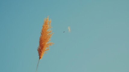   A bird soars against a backdrop of blue sky In the foreground, a tall brown plant stands, its long, thin grass stalks reaching out