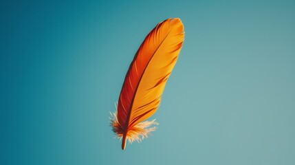   A tight shot of a solitary bird feather against a backdrop of clear blue sky