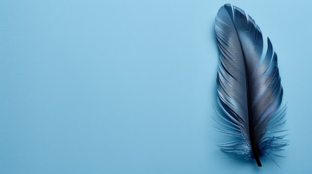   A detailed image of a single blue feather against a light blue backdrop, subtly accompanied by the shadow of a bird's wing