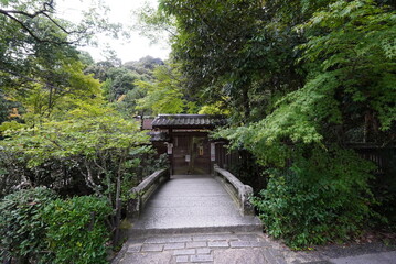 世界遺産　京都　宇治上神社