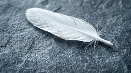   A white feather atop a black stone floor Nearby, a black-and-white image of a bird's wing